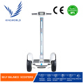 Two Wheel Stand up Electric Adult Scooter